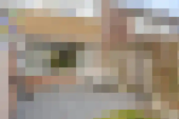 Zijpendaal 16 Eindhoven thumbnail 35