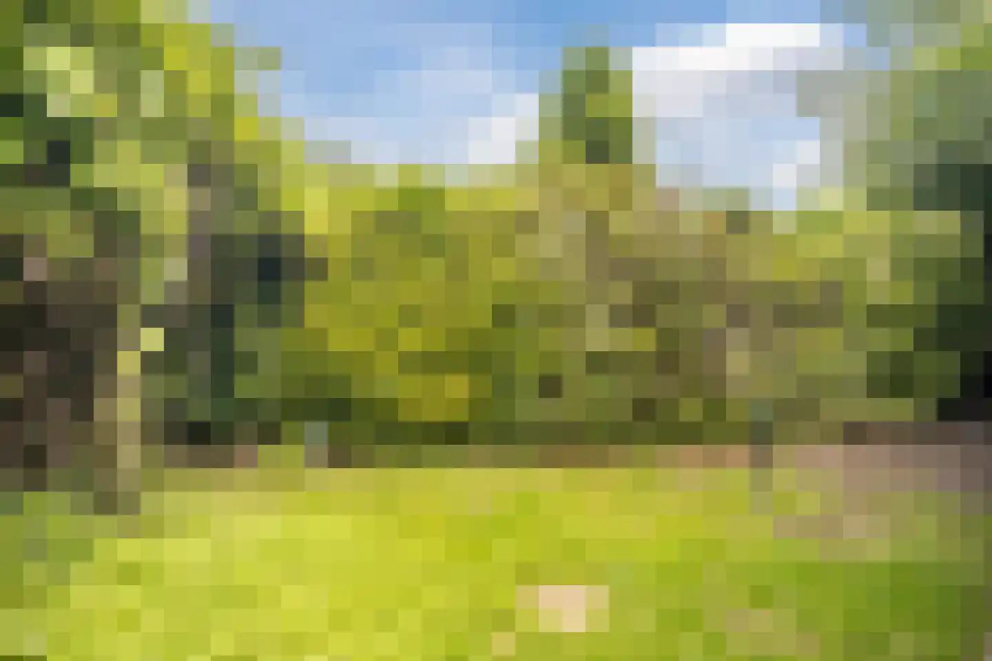 Zijpendaal 21 Enschede thumbnail 39