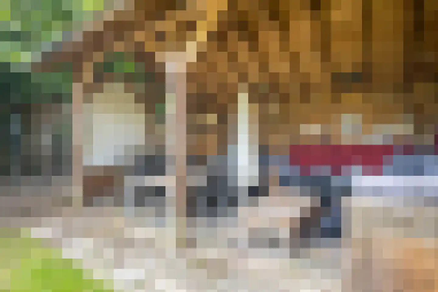 Zijpendaal 21 Enschede thumbnail 40