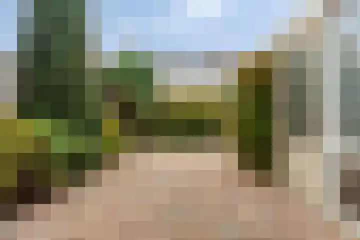 Zijpendaal 28 Eindhoven thumbnail 30