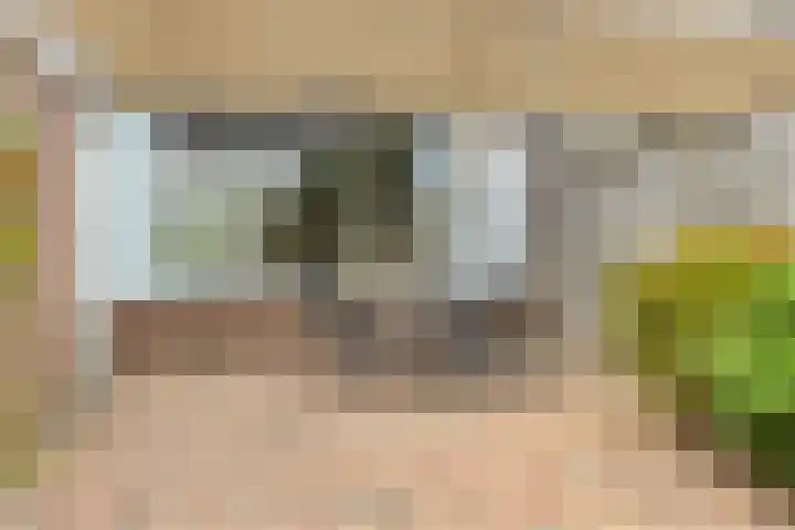 Zijpendaal 28 Eindhoven thumbnail 32