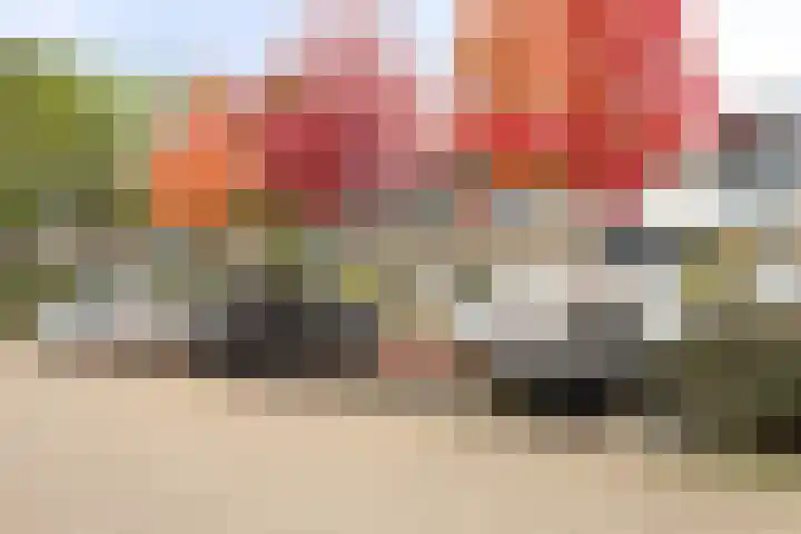 Zijpendaal 28 Eindhoven thumbnail 33