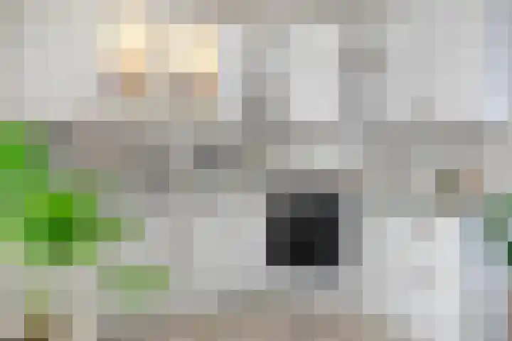 Zijpendaal 29 Eindhoven thumbnail 13