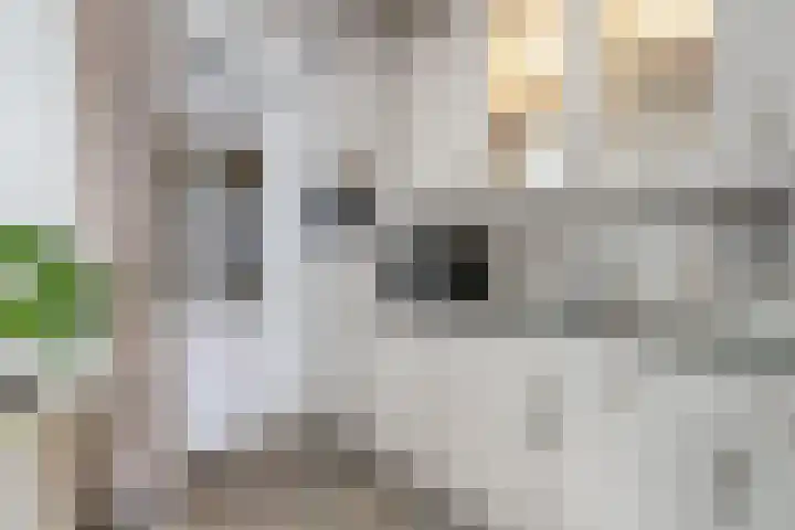 Zijpendaal 29 Eindhoven thumbnail 14
