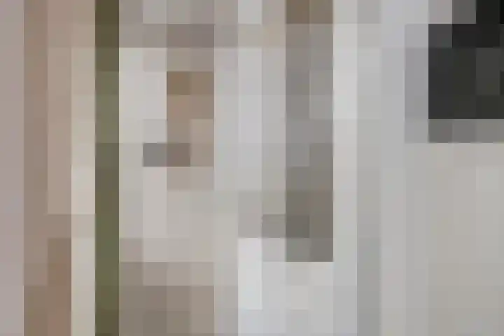 Zijpendaal 29 Eindhoven thumbnail 15