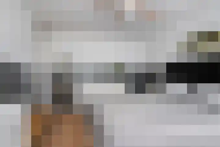 Zijpendaal 29 Eindhoven thumbnail 17