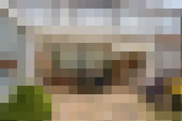 Zijpendaal 29 Eindhoven thumbnail 29