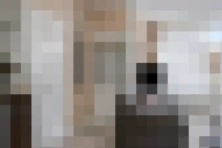 Zijpendaal 29 Eindhoven thumbnail 9