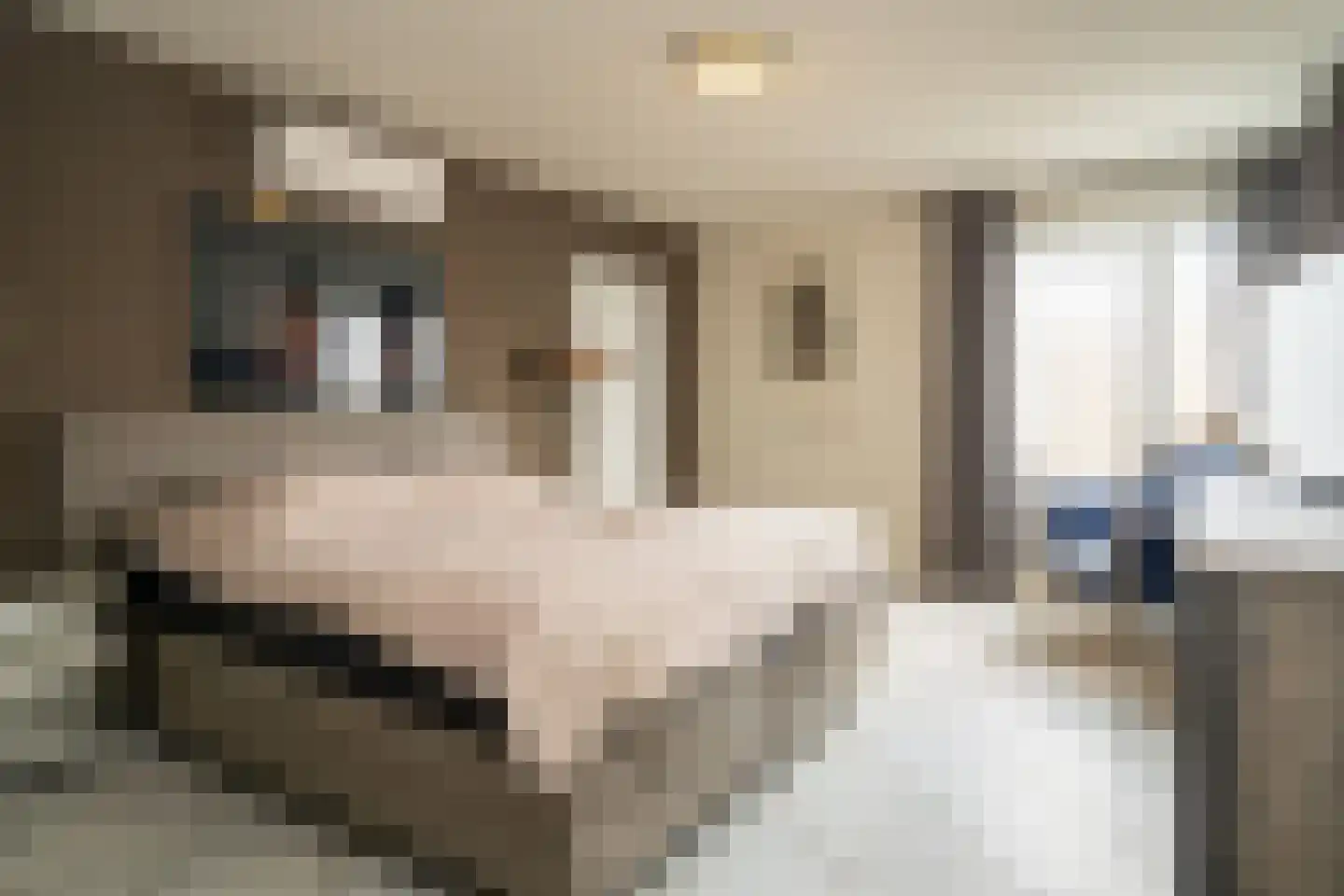 Zijpendaal 3 Enschede thumbnail 22