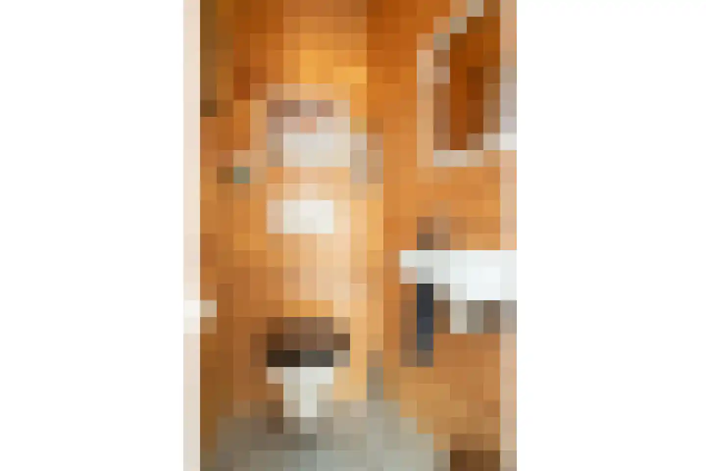 Zijpendaal 3 Enschede thumbnail 29