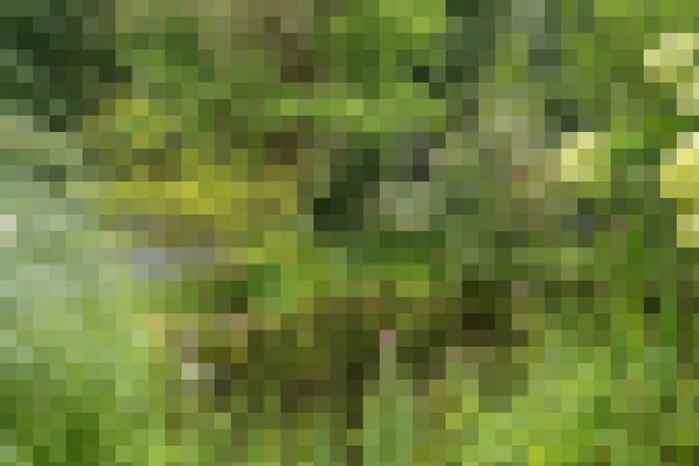 Zijpendaal 3 Enschede thumbnail 49