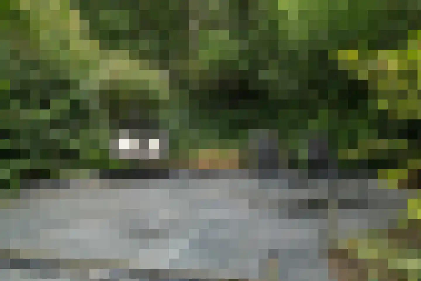 Zijpendaal 3 Enschede thumbnail 50