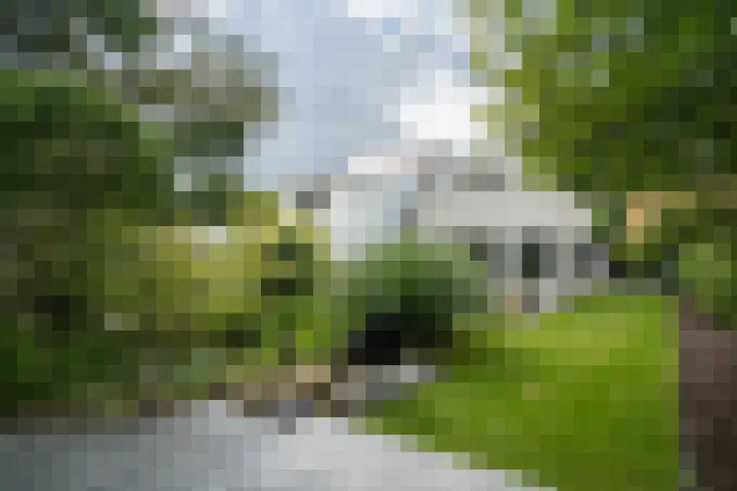 Zijpendaal 3 Enschede thumbnail 51