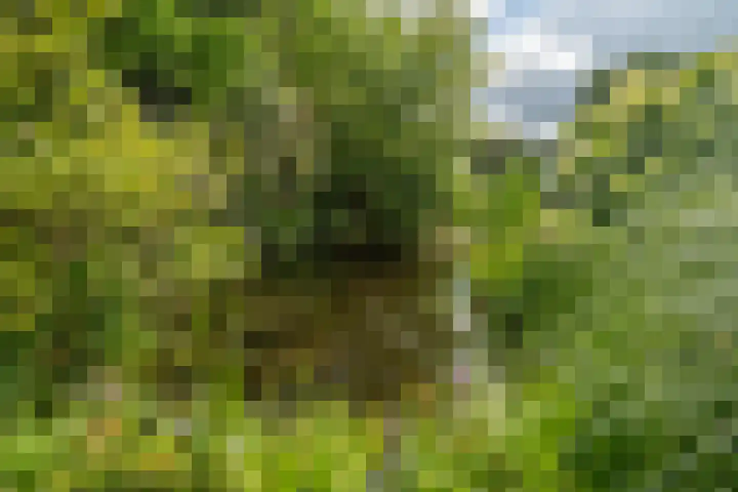 Zijpendaal 3 Enschede thumbnail 53