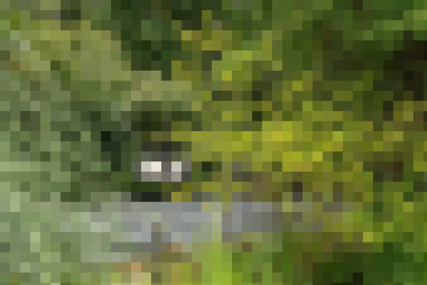 Zijpendaal 3 Enschede thumbnail 55