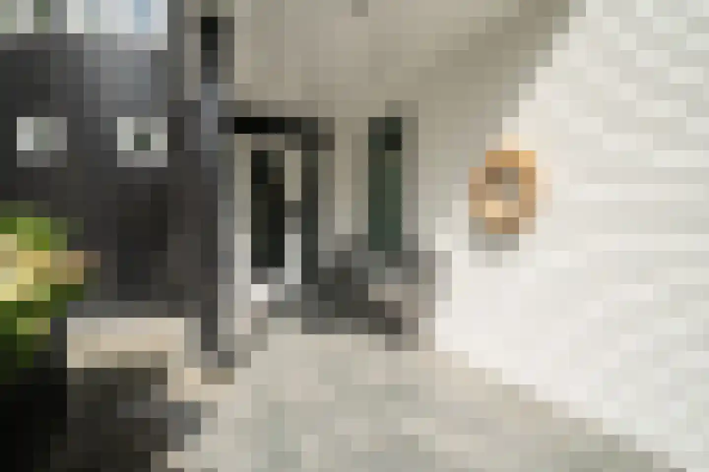 Zijpendaal 3 Enschede thumbnail 6