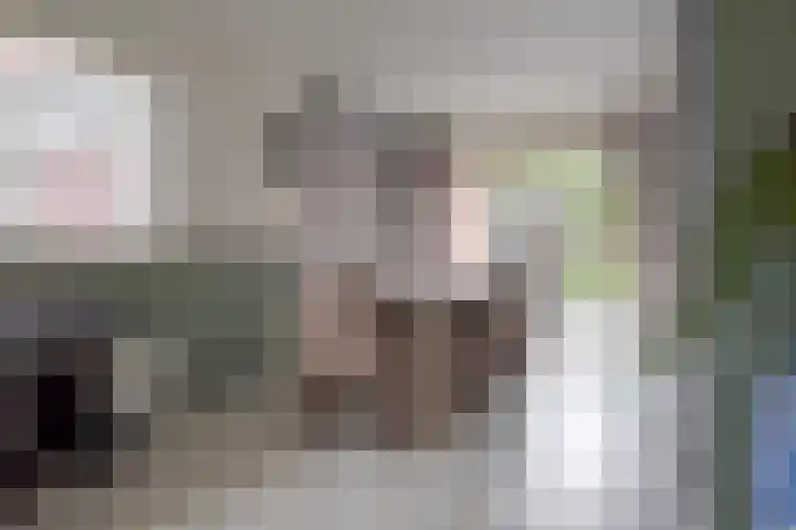Zijpendaal 37 Roden thumbnail 17