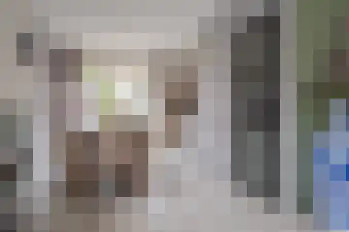 Zijpendaal 37 Roden thumbnail 18