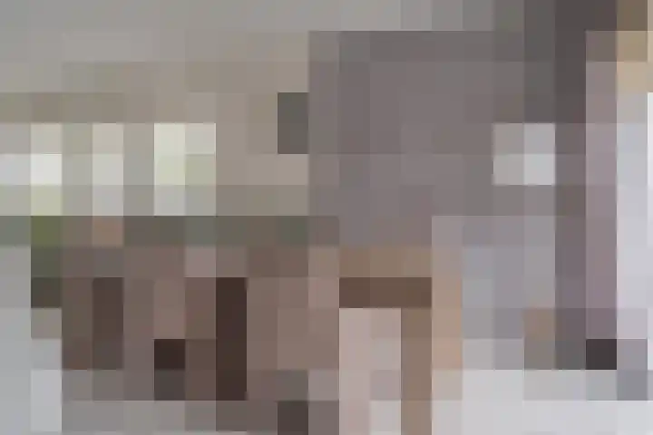 Zijpendaal 37 Roden thumbnail 19