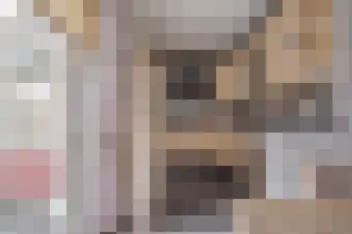 Zijpendaal 37 Roden thumbnail 21