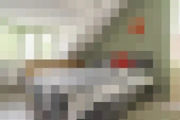 Zijpendaal 37 Roden thumbnail 28