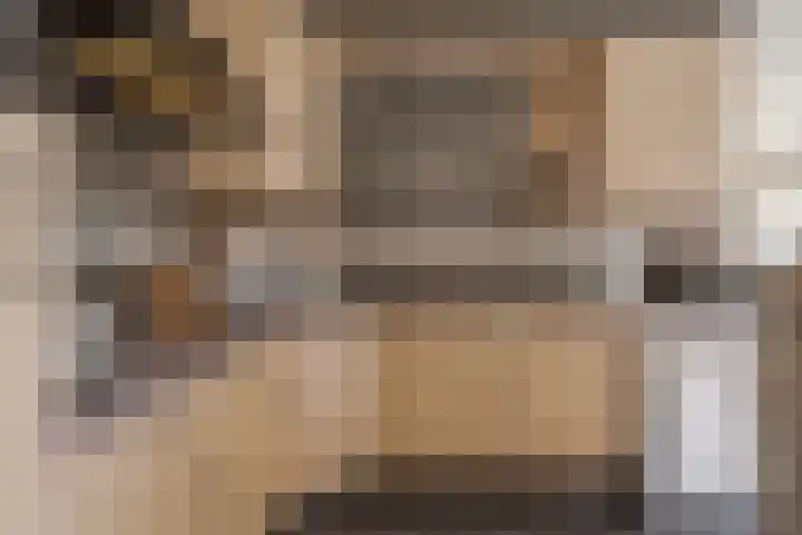 Zijpendaal 37 Roden foto 3