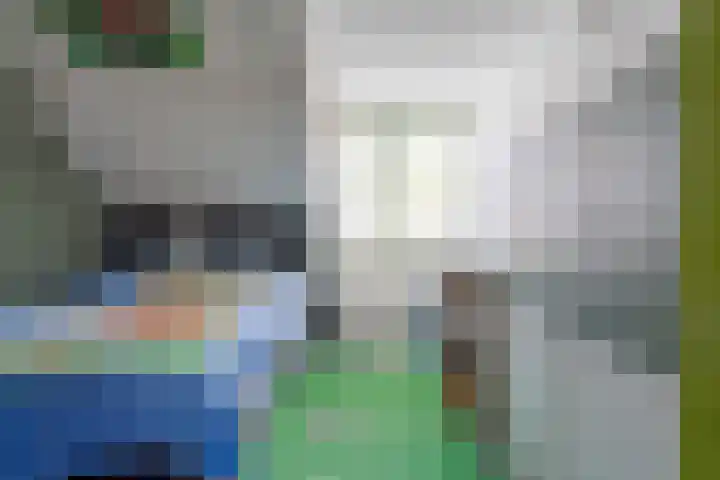 Zijpendaal 37 Roden thumbnail 34