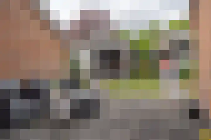 Zijpendaal 37 Roden thumbnail 40