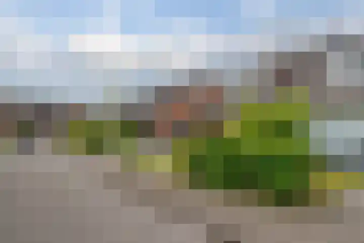 Zijpendaal 37 Roden thumbnail 5