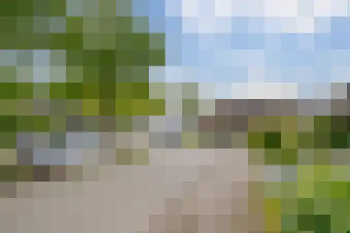 Zijpendaal 37 Roden thumbnail 6