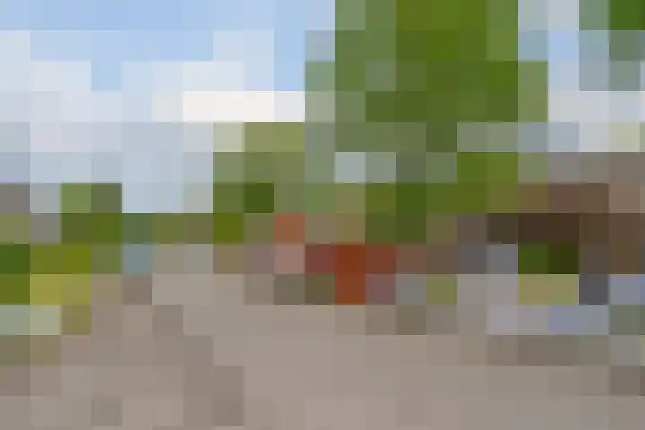 Zijpendaal 37 Roden thumbnail 7