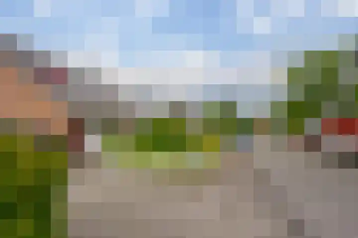 Zijpendaal 37 Roden thumbnail 8