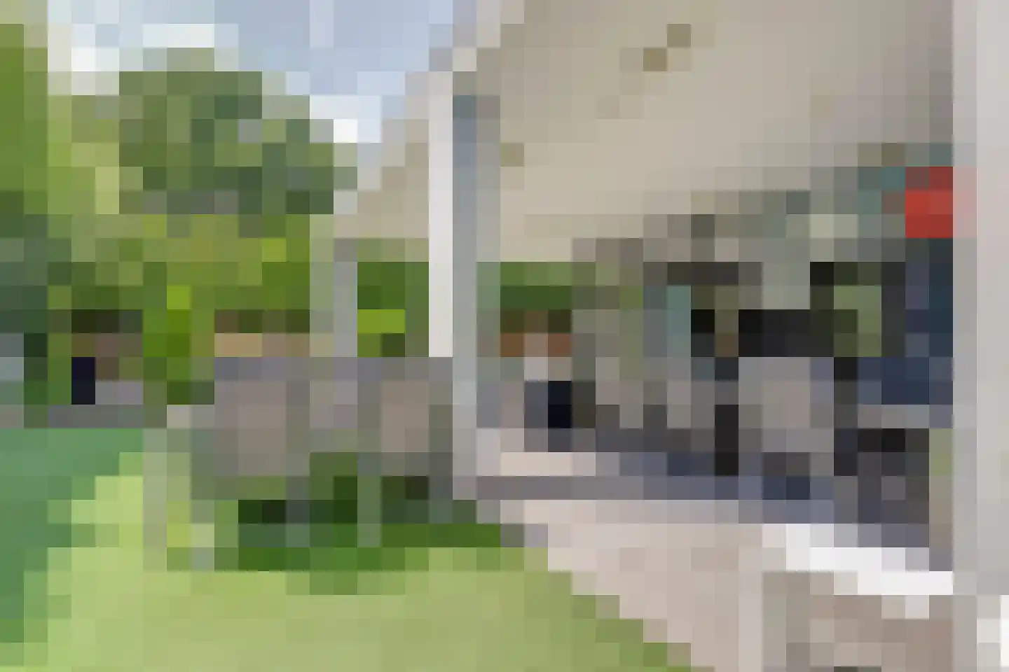 Zijpendaal 48 Enschede thumbnail 33