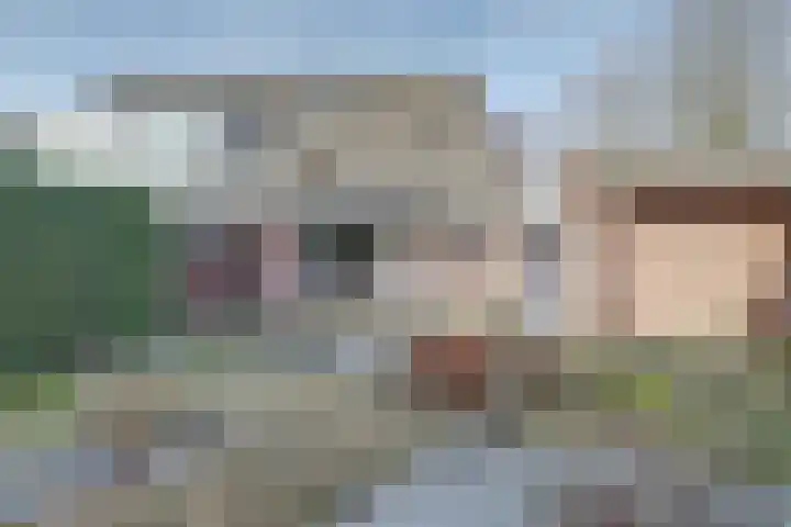 Zijpendaal 5 Ede thumbnail 34
