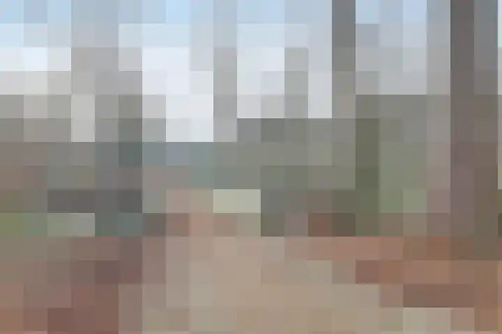 Zijpendaal 5 Ede thumbnail 37