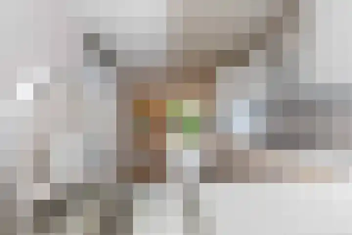 Zijpendaal 8 A Enschede thumbnail 10