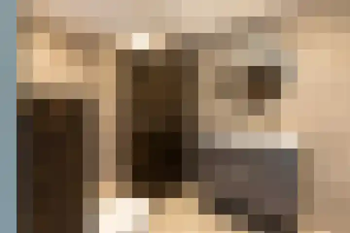 Zijpendaal 8 A Enschede thumbnail 18