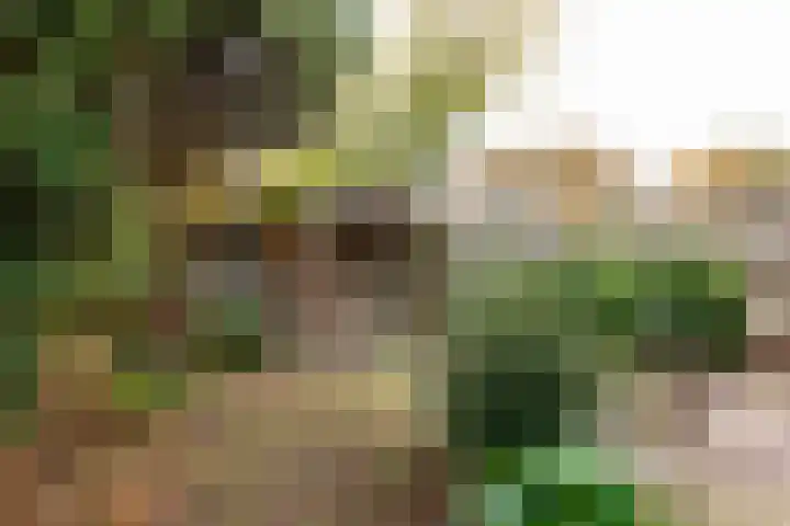 Zijpendaal 8 A Enschede thumbnail 28