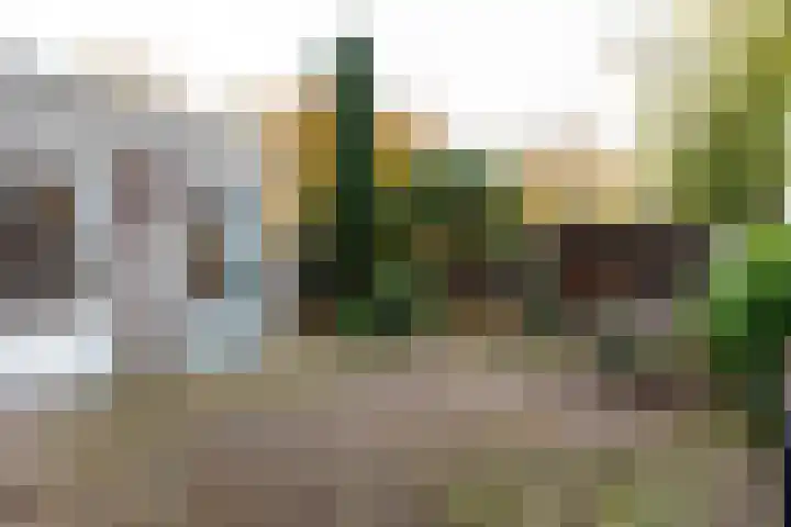 Zijpendaal 8 A Enschede thumbnail 29