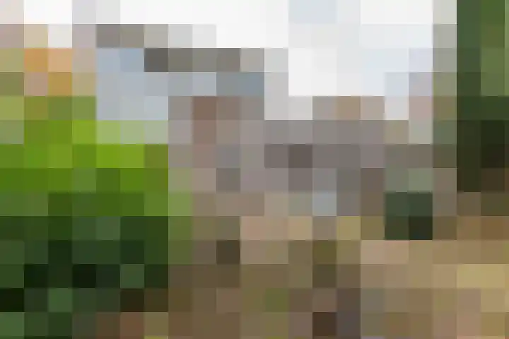 Zijpendaal 8 A Enschede thumbnail 30