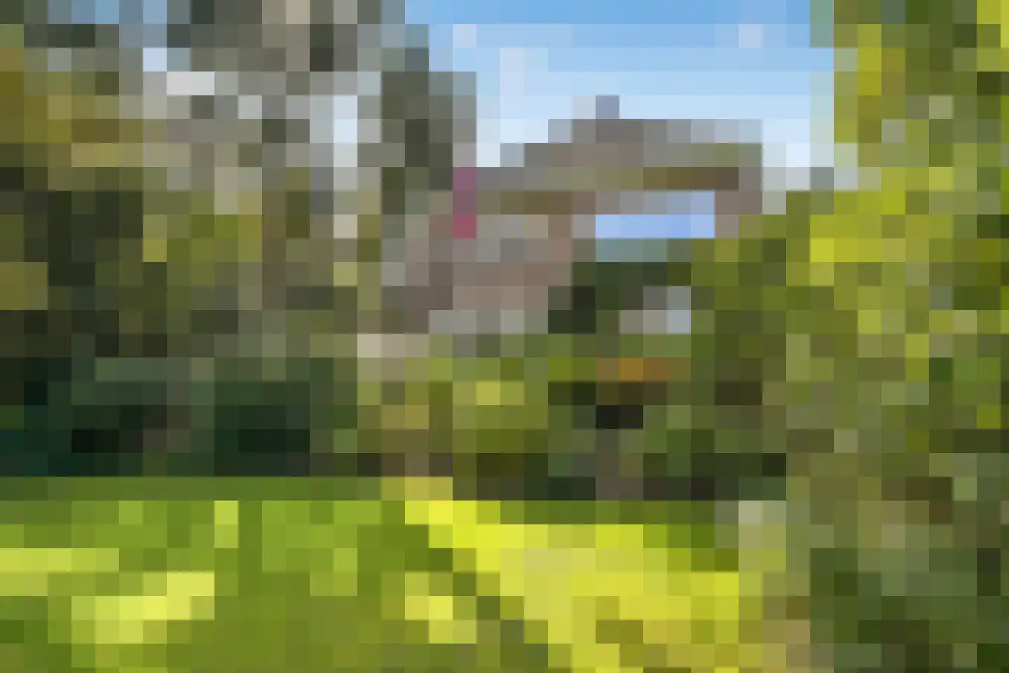 Zijpendaalseweg 131 Arnhem thumbnail 6