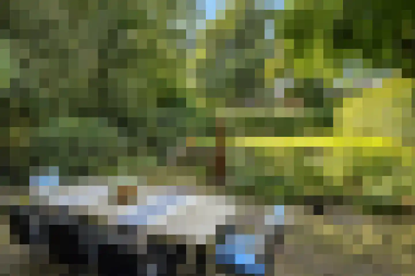 Zijpendaalseweg 131 Arnhem thumbnail 62