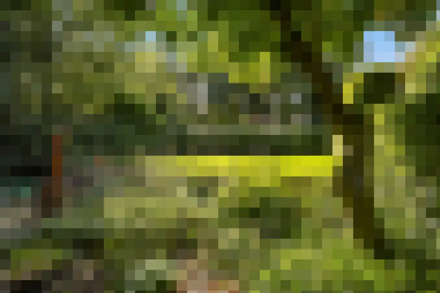 Zijpendaalseweg 131 Arnhem thumbnail 64
