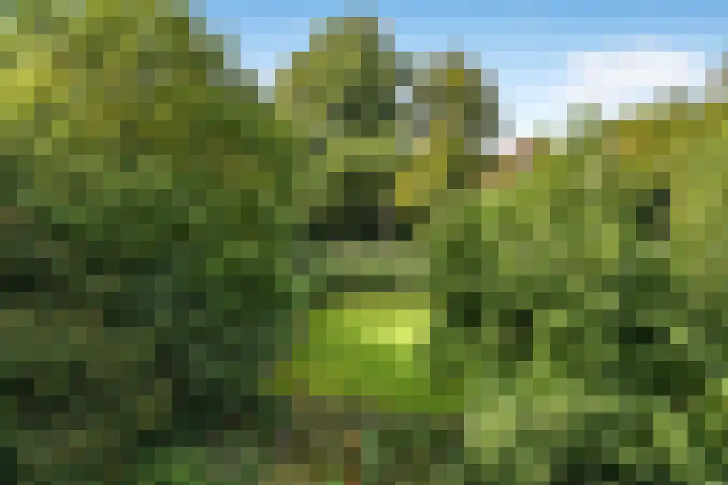 Zijpendaalseweg 131 Arnhem thumbnail 67