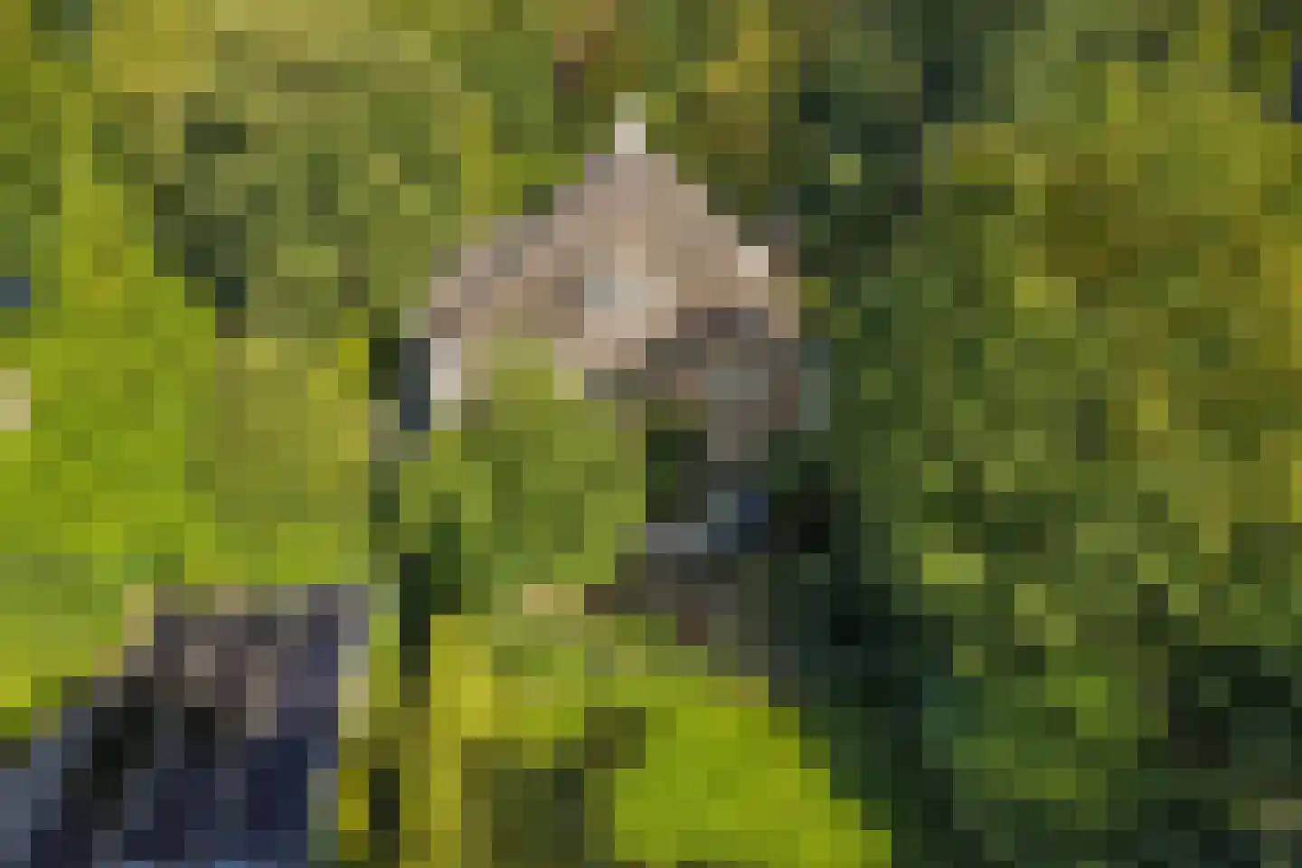 Zijpendaalseweg 131 Arnhem thumbnail 68