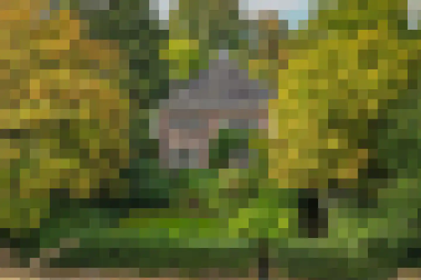 Zijpendaalseweg 131 Arnhem thumbnail 69
