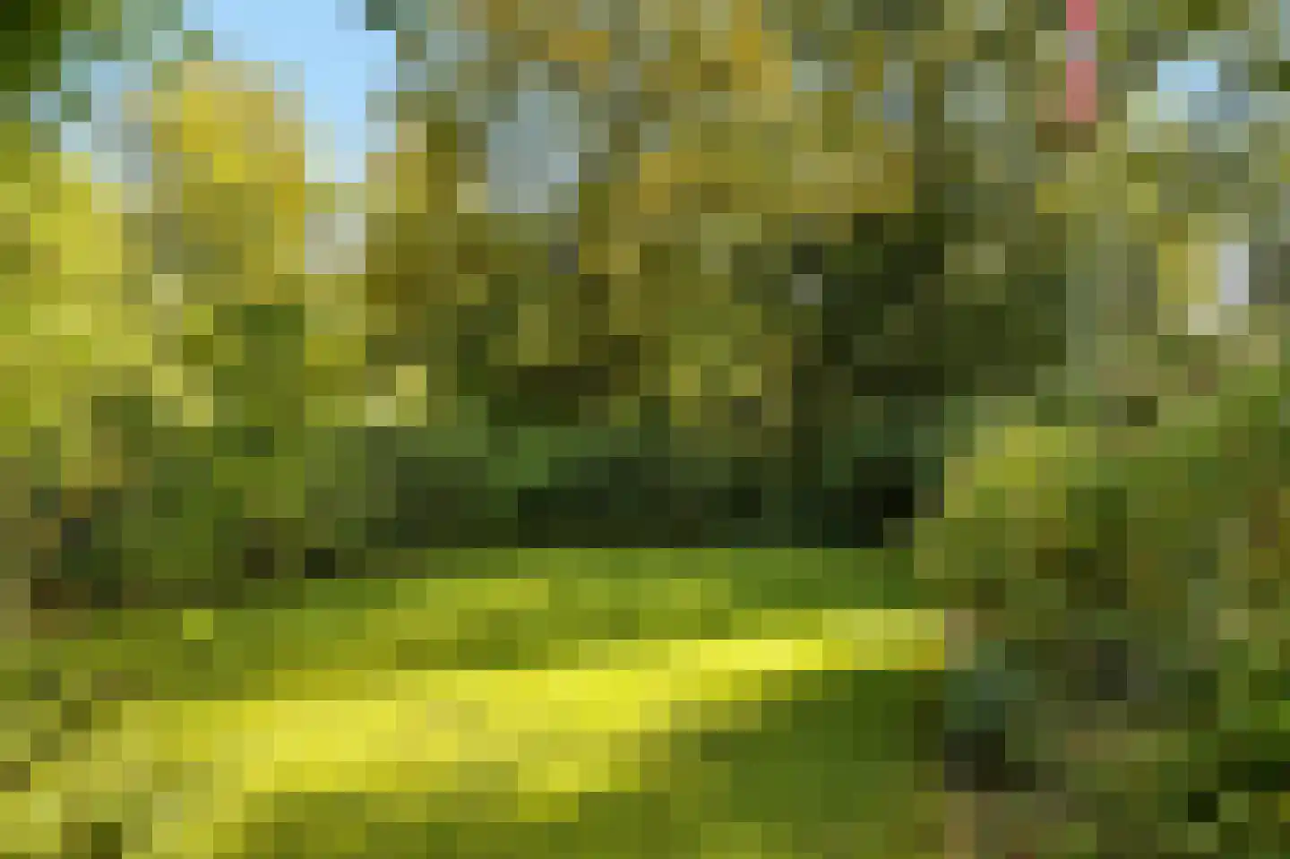 Zijpendaalseweg 131 Arnhem thumbnail 7