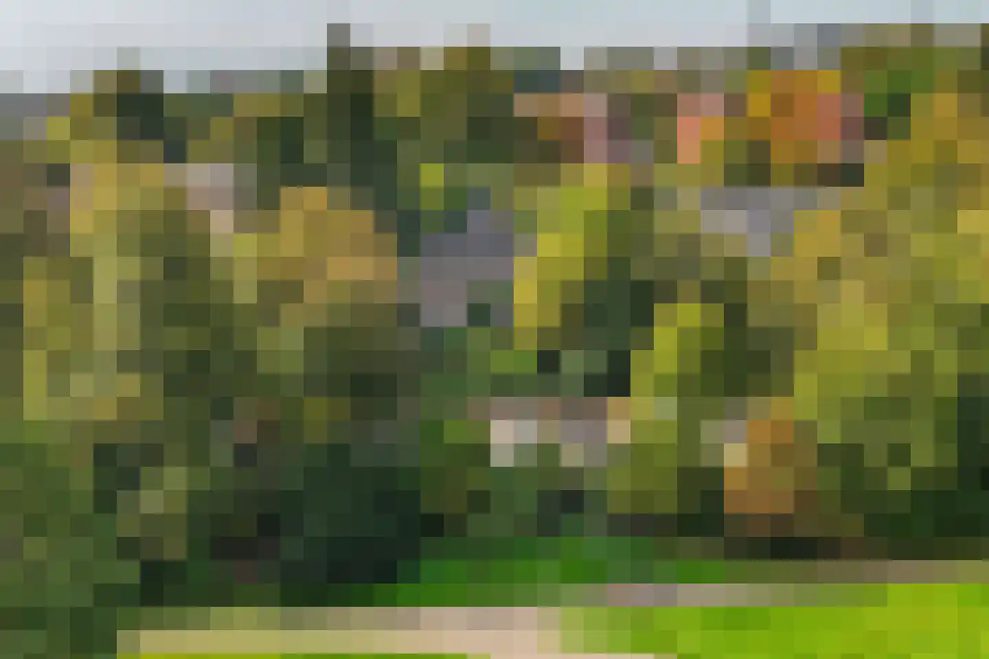 Zijpendaalseweg 131 Arnhem thumbnail 70