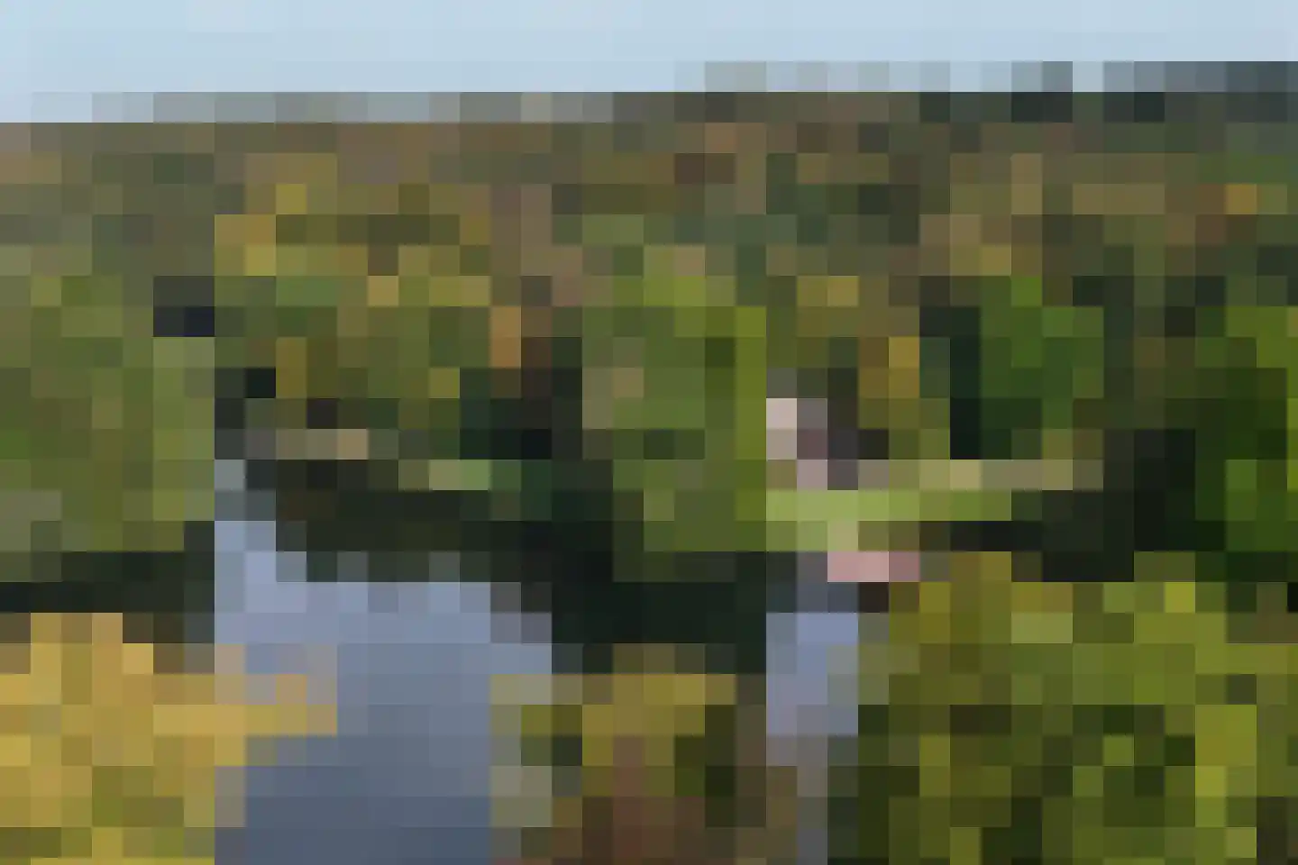 Zijpendaalseweg 131 Arnhem thumbnail 71