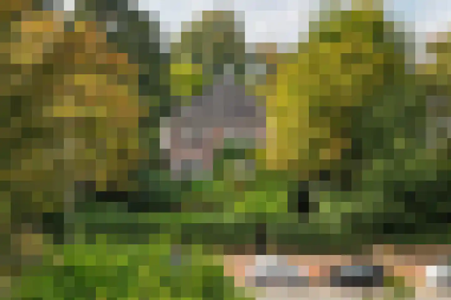 Zijpendaalseweg 131 Arnhem thumbnail 74